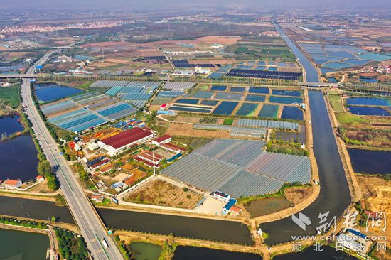 DJI_0409_副本.jpg
