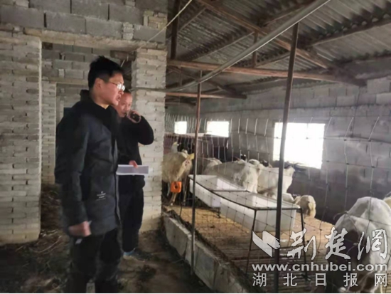 市水利與湖泊局駐陳貴鎮(zhèn)江添受村工作隊(duì)在脫貧戶方周海山羊養(yǎng)殖點(diǎn).jpg