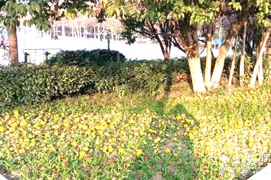 圖片1_副本.png.png