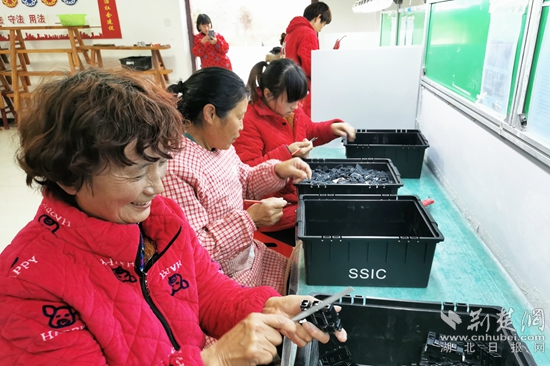 微信圖片_20220120200627_副本.jpg