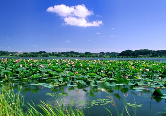 濕地公園.jpg
