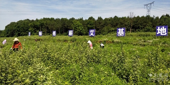 6c0adf63a389a694e661c2f8578f0db.jpg