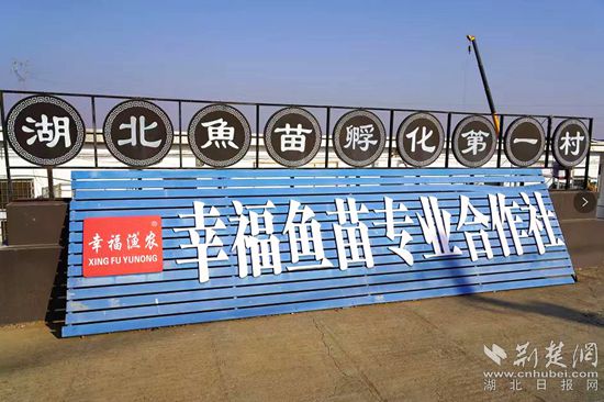 6、湖北魚苗第一村_副本.jpg