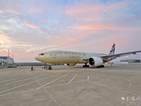 飛機(jī)停靠完畢。金康 攝.jpeg