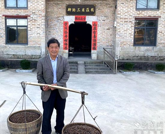 何道關(guān)與自己種的油茶果。黃錚 攝_副本.jpg.jpg