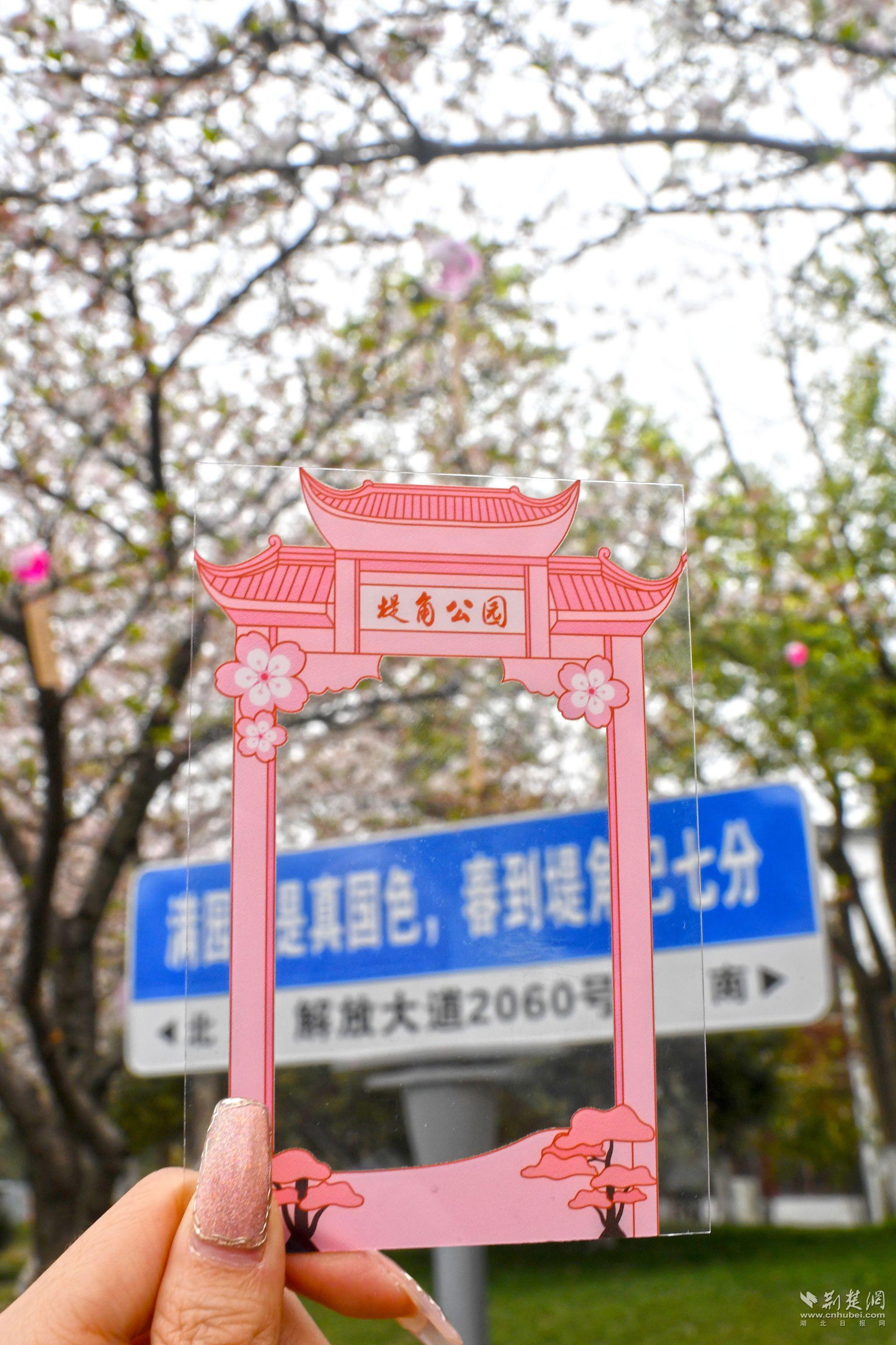 用定制櫻花透卡在公園內(nèi)地標(biāo)處拍照打卡.jpg.jpg